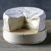 Cheese